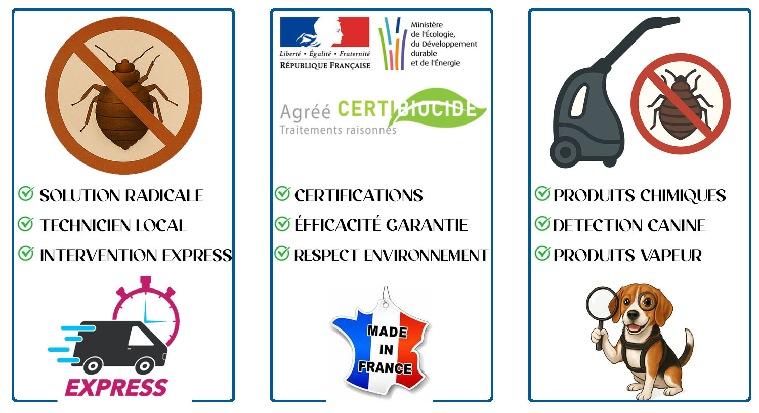 Punaises de Lit Le Vesinet